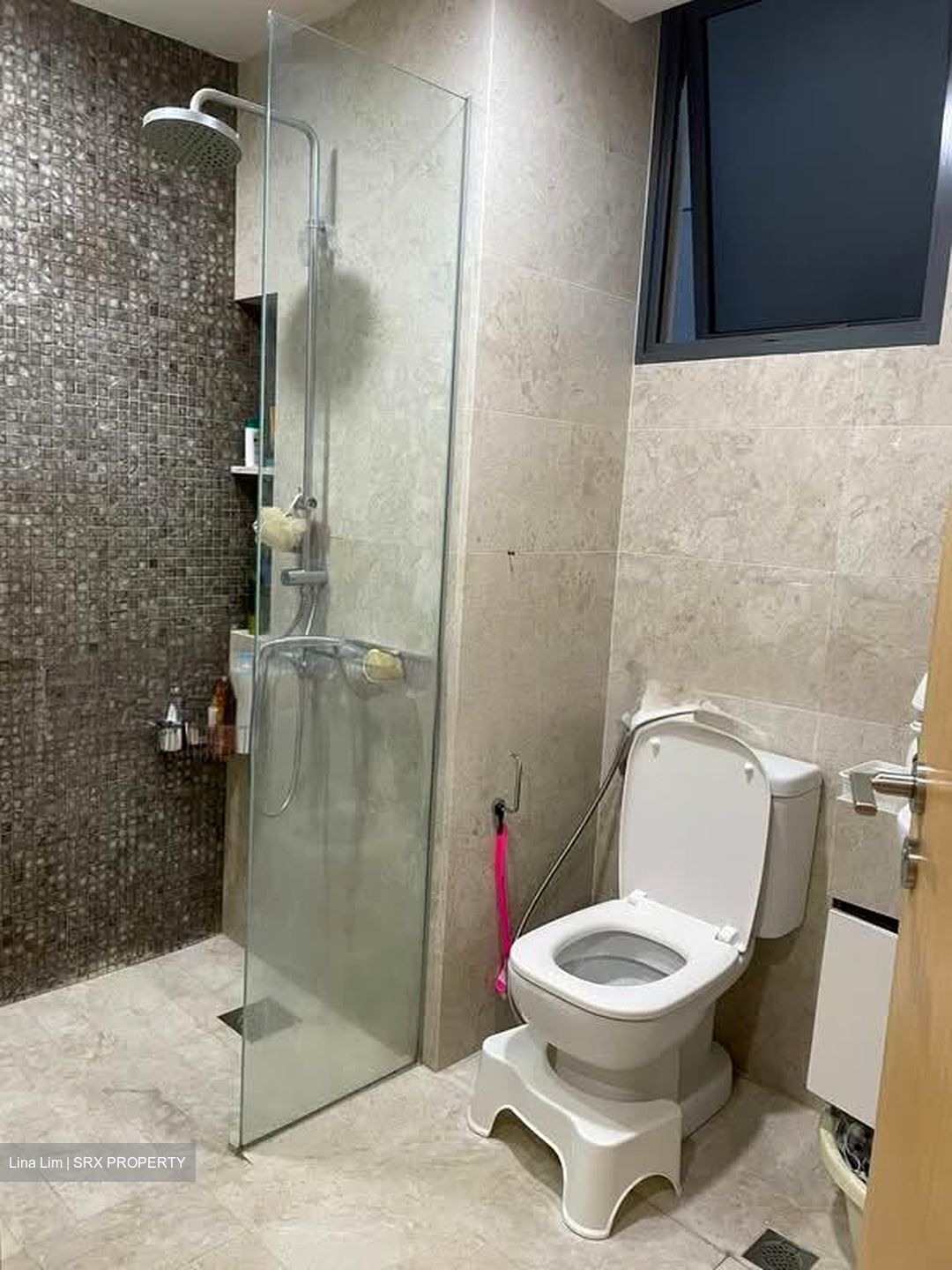La Fiesta (D19), Condominium #537518141
